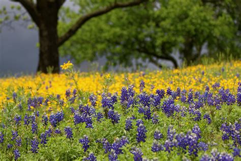 28 Iconic Pics Of The Texas Hill Country Infinite World Wonders