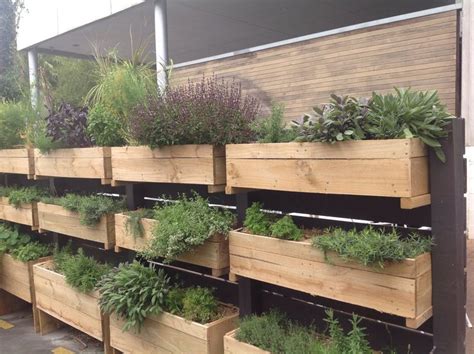 Wall Of Herb Planter Boxes Monterrey Cafe In Auckland