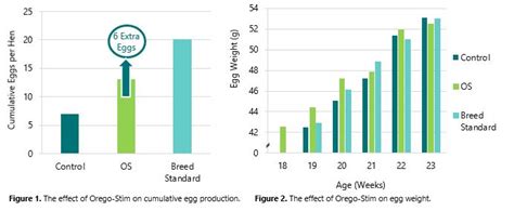 Commercial Study Summary Orego Stim Supports Egg Production And