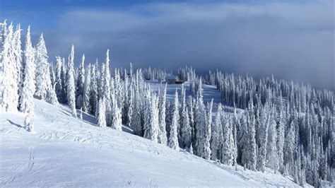Download Wallpaper 2048x1152 Slope Trees Snow House Winter
