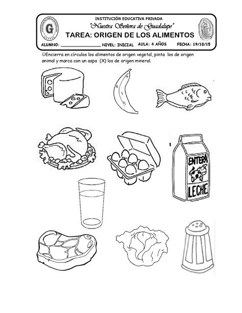 Por eso al igual que nosotros el resto de animales omnivoros son muy adaptables a distintas condiciones ya sean de ambiente climaticas de espacio relacionadas con la obtencion de los alimentos o con la forma en la que. Tarea origen de los alimentos by katy-hormiguita - Issuu