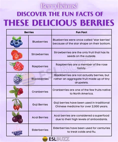 Boost Your Berry Vocabulary A Comprehensive List Of Berries For