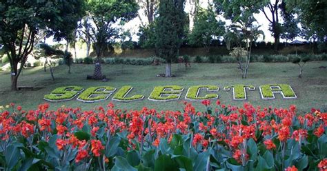 Tidak hanya itu, bunga yang ditanam di tempat rata juga ditata. Taman Rekreasi Selecta Batu Malang, Kebun Bunga Yang ...