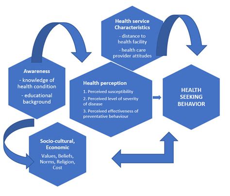 Diagrammatic Representation Of The Factors Influencing Health Seeking