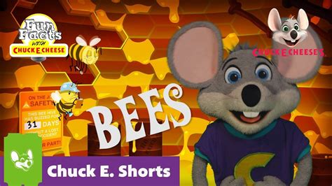 Fun Bee Facts With Chuck E Cheese Chuck E Shorts