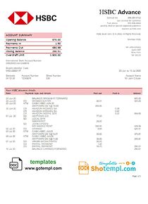 Usa Hsbc Bank Statement Template In Word And Pdf Format Statement Template Bank Statement Words
