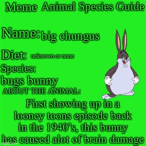 Image Tagged In Meme Animal Species Guide Imgflip