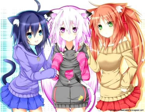 Anime Cat Girl Wallpapers Top Free Anime Cat Girlsexiz Pix