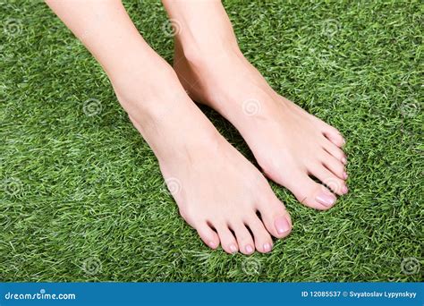 Beautiful Slim Female Feet On Green Grass Stock Image Image Of Heel