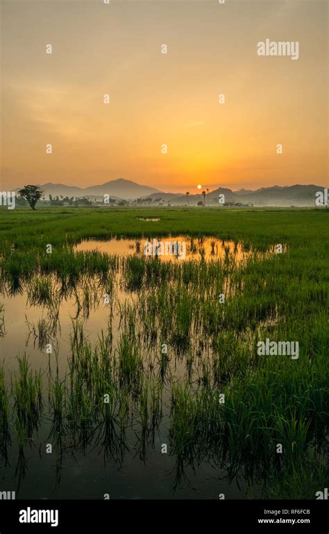 Scenery Of The Countryside In Malaysia Stock Photo Alamy