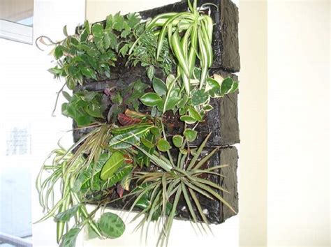 Green Walls How To Create A Living Landscape Or Wallscape Lawnstarter