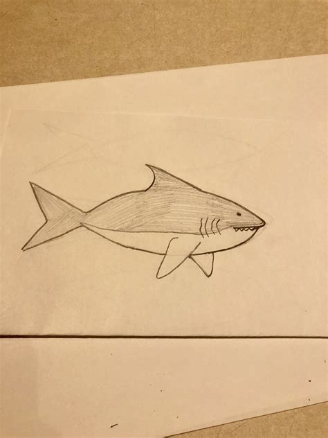 And hoping to give more information about how to draw sharks. How to Draw a Great White Shark: 15 Steps (with Pictures)