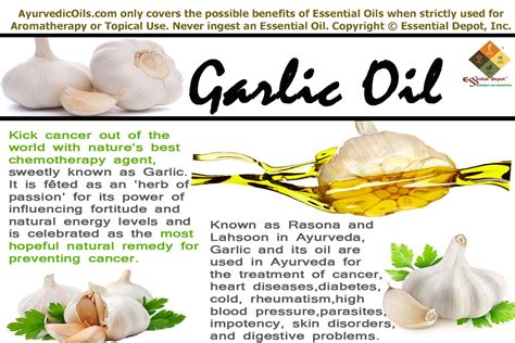 Not a good to put irritants on a highly innervated organ, unless you enjoy causing or experiencing pain. Ayurvedic health benefits of Garlic oil | Essential Oil