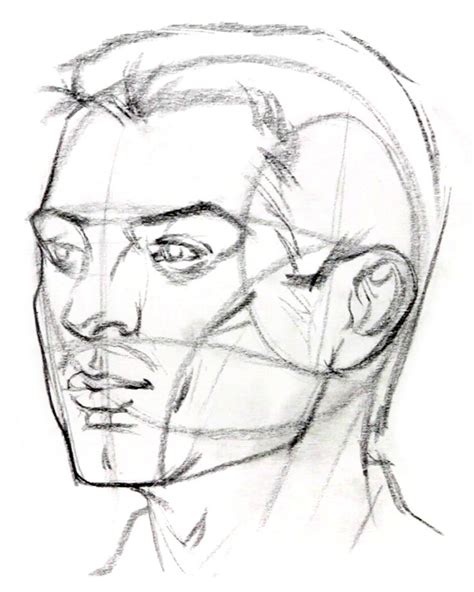 Proko Quickly Draw Heads With The Loomis Method Part Drawing