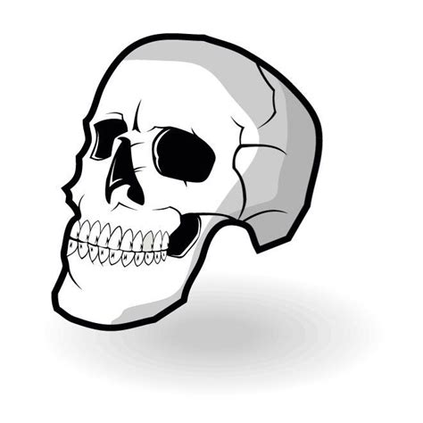 Human Skull Graphics Royalty Free Stock Svg Vector