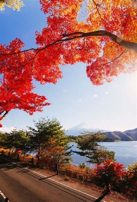 Mount Fuji Japan Autumn Landscape Beautiful Nature Fall Pictures