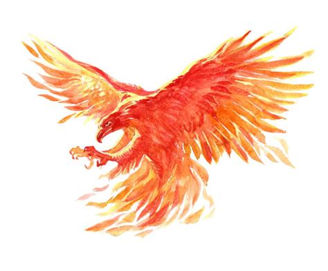 Phoenix Spirit Animal Symbolism And Meaning Az Animals