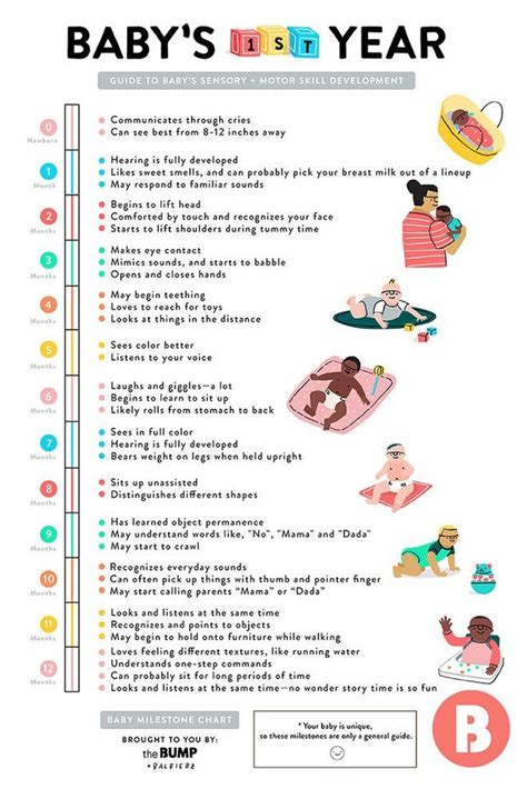 Please fill in all fields. A Quick Guide to Baby's First-Year Milestones | Baby ...