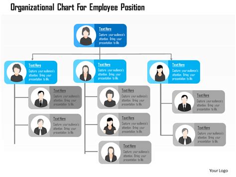 35 Best Organizational Chart Templates To Streamline Workflow The