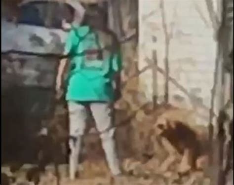 Woman Charged With Animal Cruelty After Video Catches Her Kicking Dog