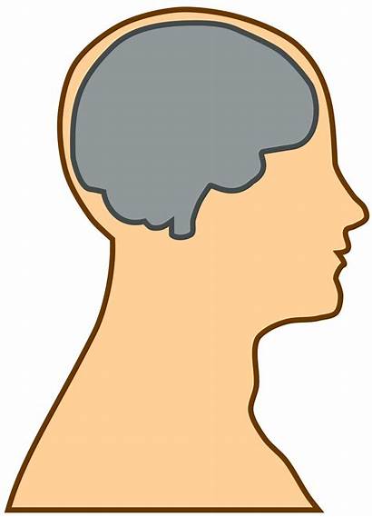 Brain Clipart Head Profile Silhouette Side Person