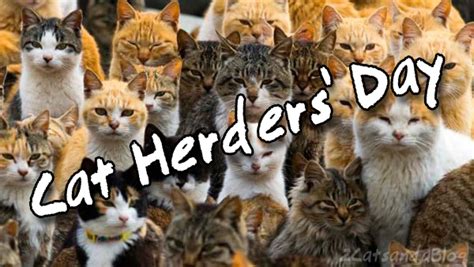 Cat Herders Day Courageous Christian Father