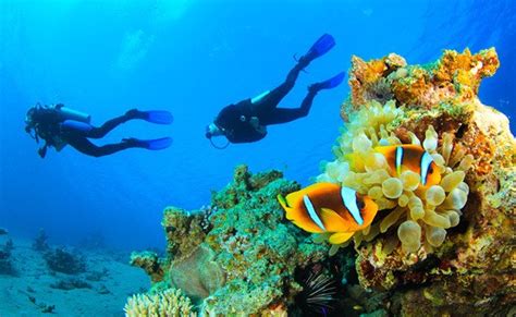 New Material Could Allow Divers To Breathe Underwater Without Oxygen