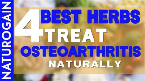 Ppt 4 Best Herbs To Treat Osteoarthritis Degenerative Joint Disease