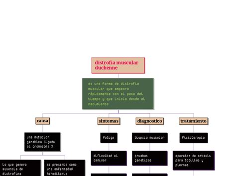 Distrofia Muscular Duchenne Mind Map