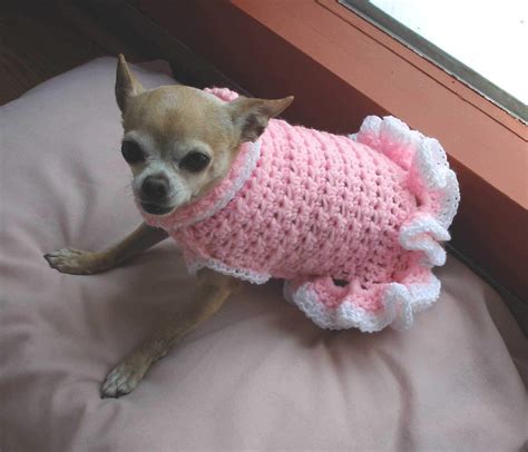 Chihuahua Crochet Sweater Pattern Crochet Your Own Chihuahua Dog