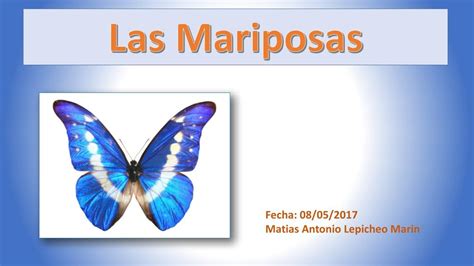 Ppt Mariposas Powerpoint Presentation Free Download Id 7581534