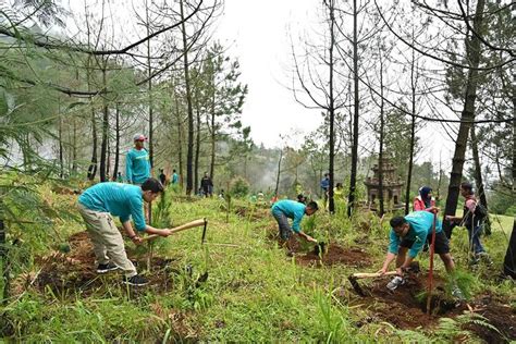 Upaya Konservasi Hutan Dan Pelestarian Lingkungan Di Indonesia