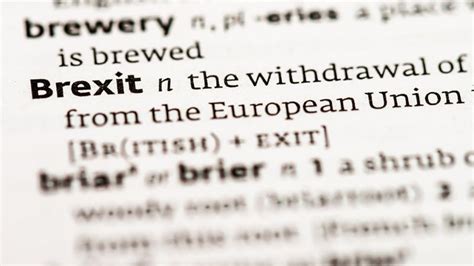 Brexit 12 Key Words You Need To Know Bbc News