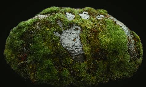 Mossy Rock Works In Progress Blender Artists Community