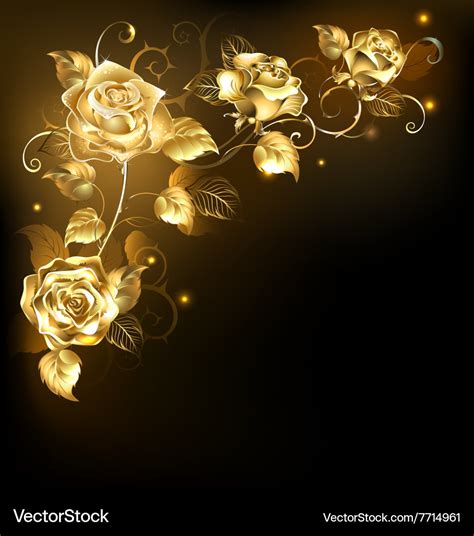 Gold Rose On Dark Background Royalty Free Vector Image