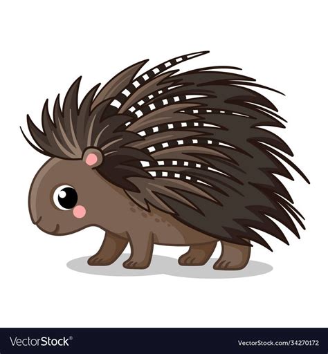 A Cute Porcupine Stands On A White Background Vector Illustration In