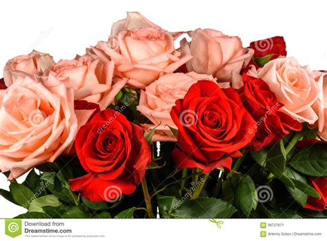Bouquet Of Pink And Red Roses Isolated Stock Image Image Of Bouquet