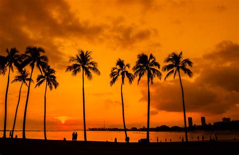 Hawaii Palm Trees Sunset Magic Island Anthony Quintano Flickr