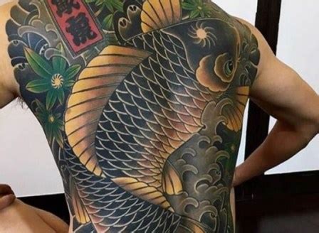 11 Tato Ikan Koi Keren Terbaru - TATONESIA