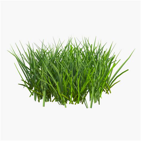 40 Most Popular Grass 3d Model Free Mockup