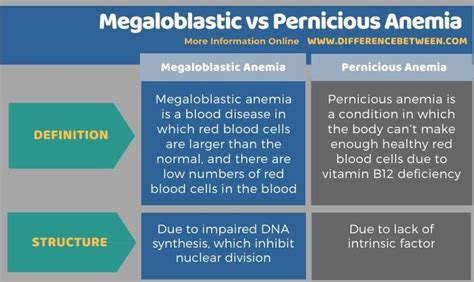 Difference Between Megaloblastic And Pernicious Anemia Compare The