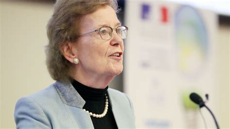 Mary Robinson Demands Urgent End To Peat Harvesting The Times