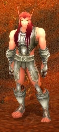 Blood Elf Admirer NPC World Of Warcraft