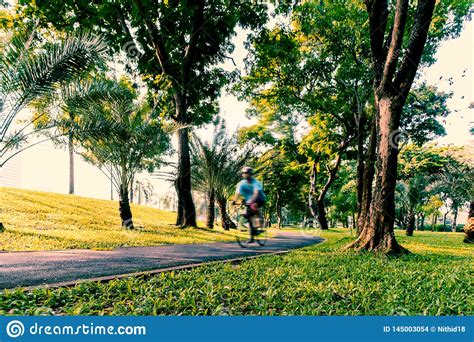 Biking In The Morning At Public Park Bike Lane Stock Photo Image Of