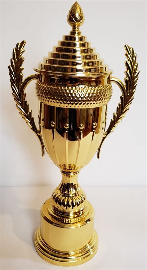 La copa américa 2019 è stata la 46ª edizione del massimo torneo di calcio continentale per squadre nazionali maggiori maschili organizzato dalla conmebol. Copa Trofeo Cono C/asas De 45cm Trofeo Premio Para ...