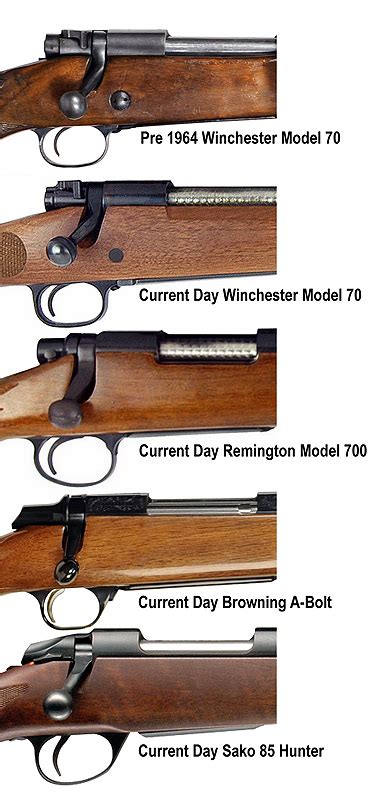 Bolt Action Rifles Most Common Sporting Models Internet Movie