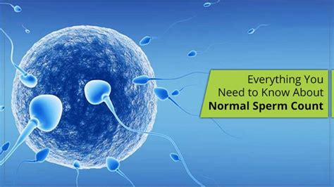 Everything You Need To Know About Normal Sperm Count Saishree Ivf