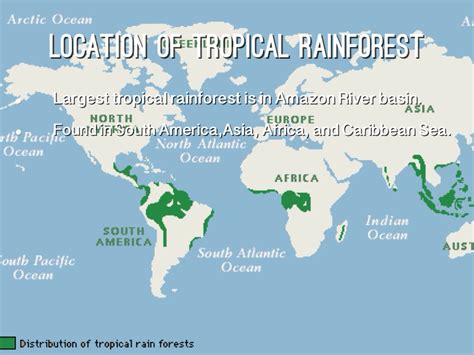 Location Of Tropical Rainforest Tropical Rainforests World Map