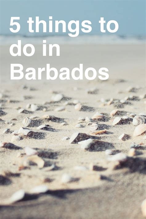 Top 5 Things To Do In Barbados Barbados Honeymoon Barbados Resorts