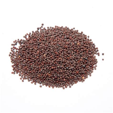 Natural 100 Organic Mustard Seed For Farming Packaging Size 500 Gm